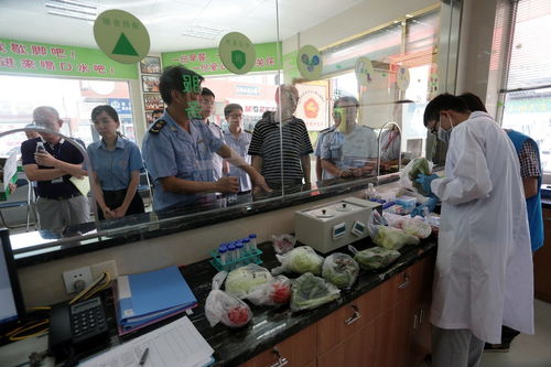 食用農產品抽檢全合格，人大代表政協委員現場見證助力零售安全
